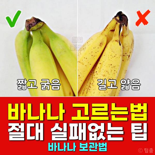 맛있는 바나나 고르는법,바나나 보관법