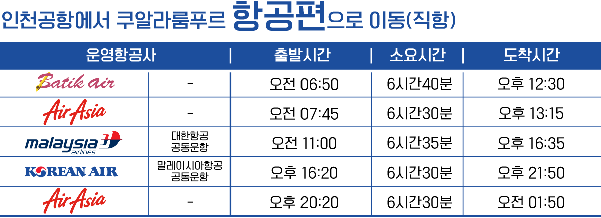 직항항공편