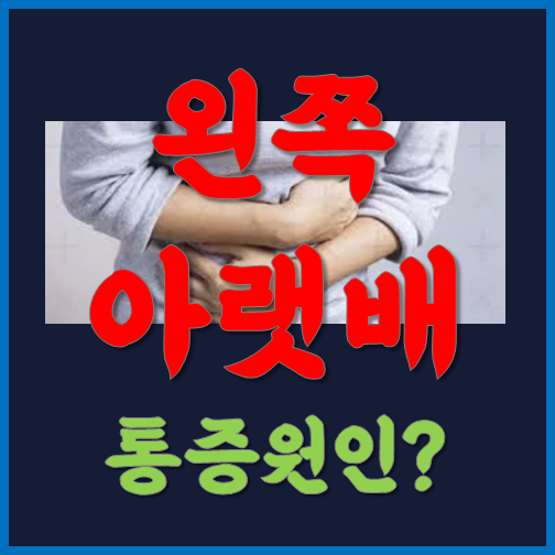 왼쪽 아랫배 통증 원인 알아보기 :: 서울 경기 제주 부산 대구 광주 대전 정보 모음 왼쪽 아랫배 통증 원인 알아보기 :: 서울 경기 제주 부산 대구 광주 대전 정보 모음