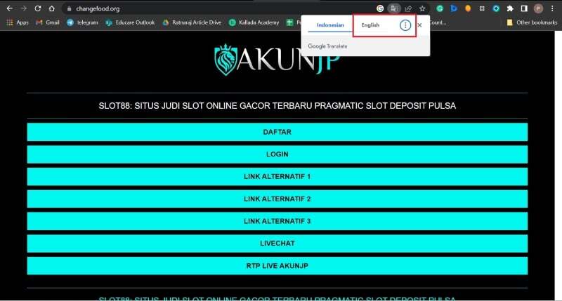 크롬 언어 번역 옵션