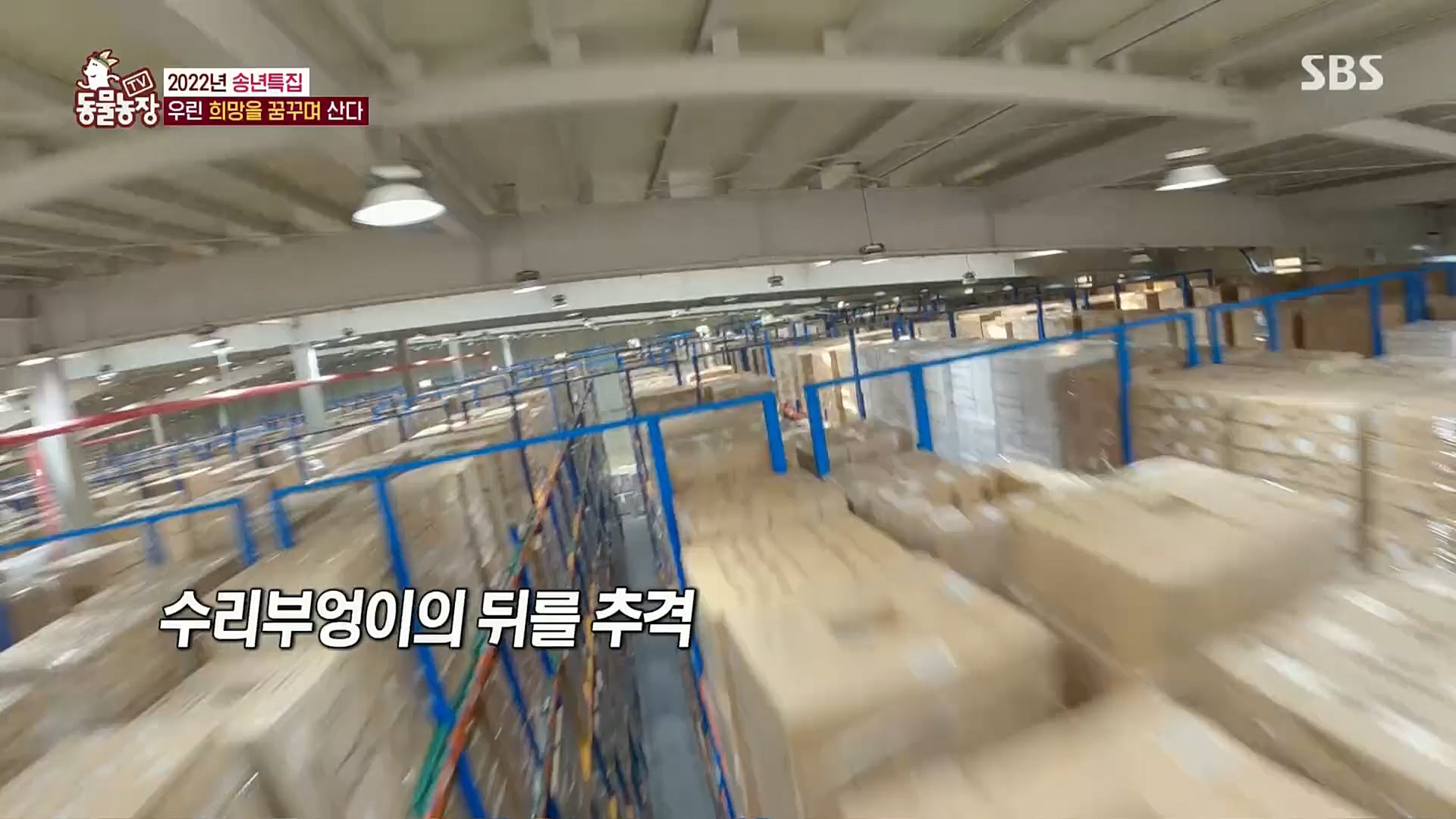 TV 동물농장.E1101.221225p.H264-F1RST.mp4_20221225_190301.022.jpg