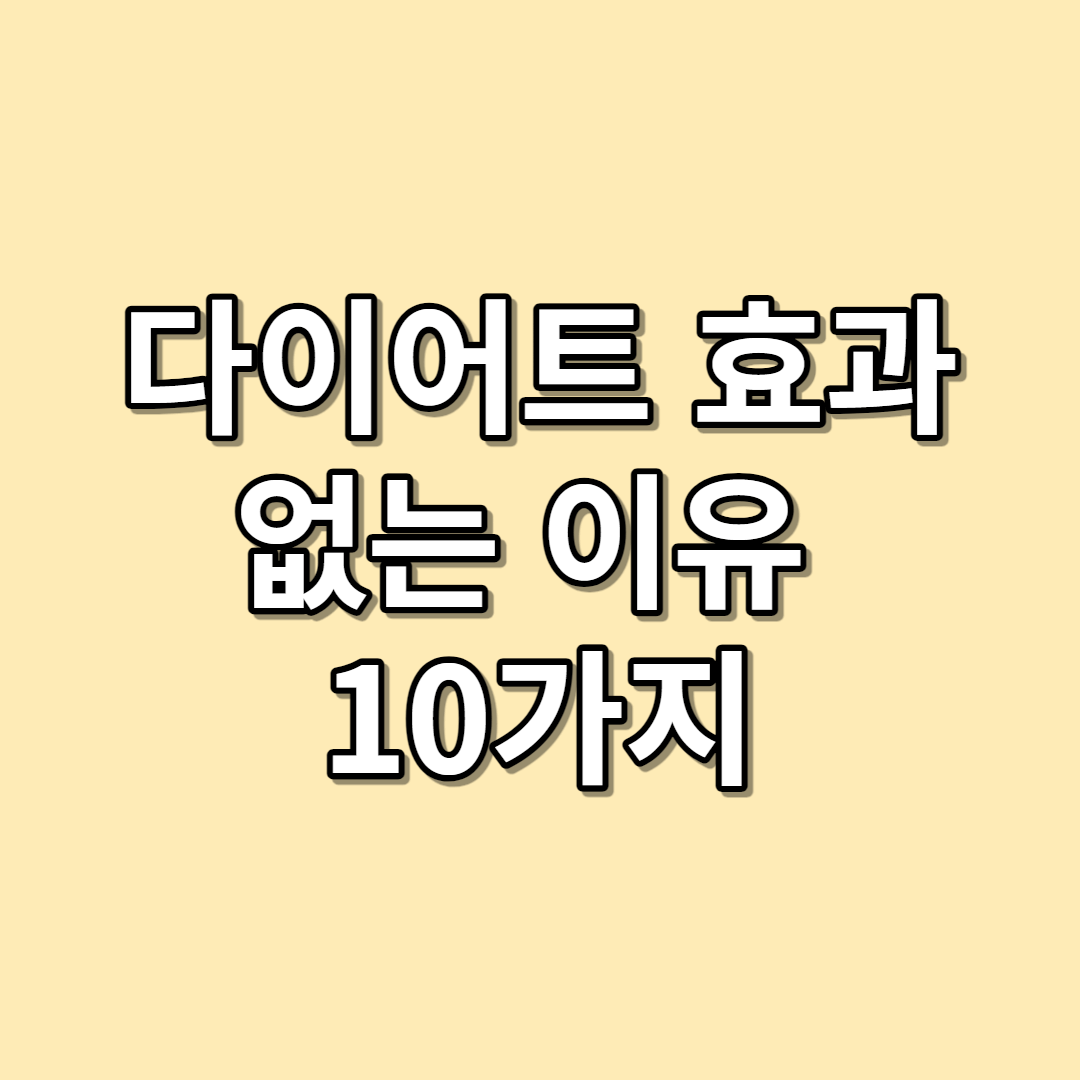 다이어트 효과 없는 이유 10가지