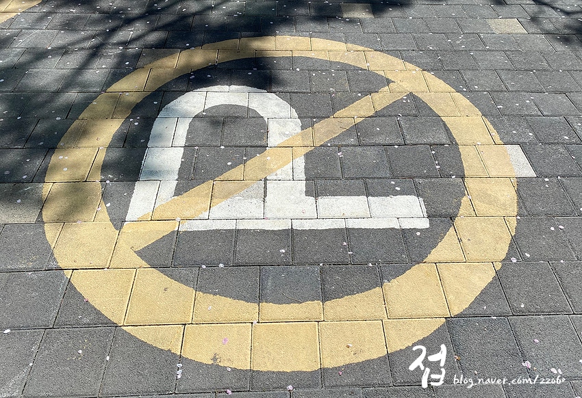 [코로나 19 확진 환자가 도쿄로 간다] 어디까지 밝혀지나요? 1