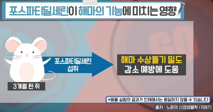 포스파티딜세린 효능