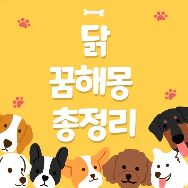 닭-꿈해몽-총정리