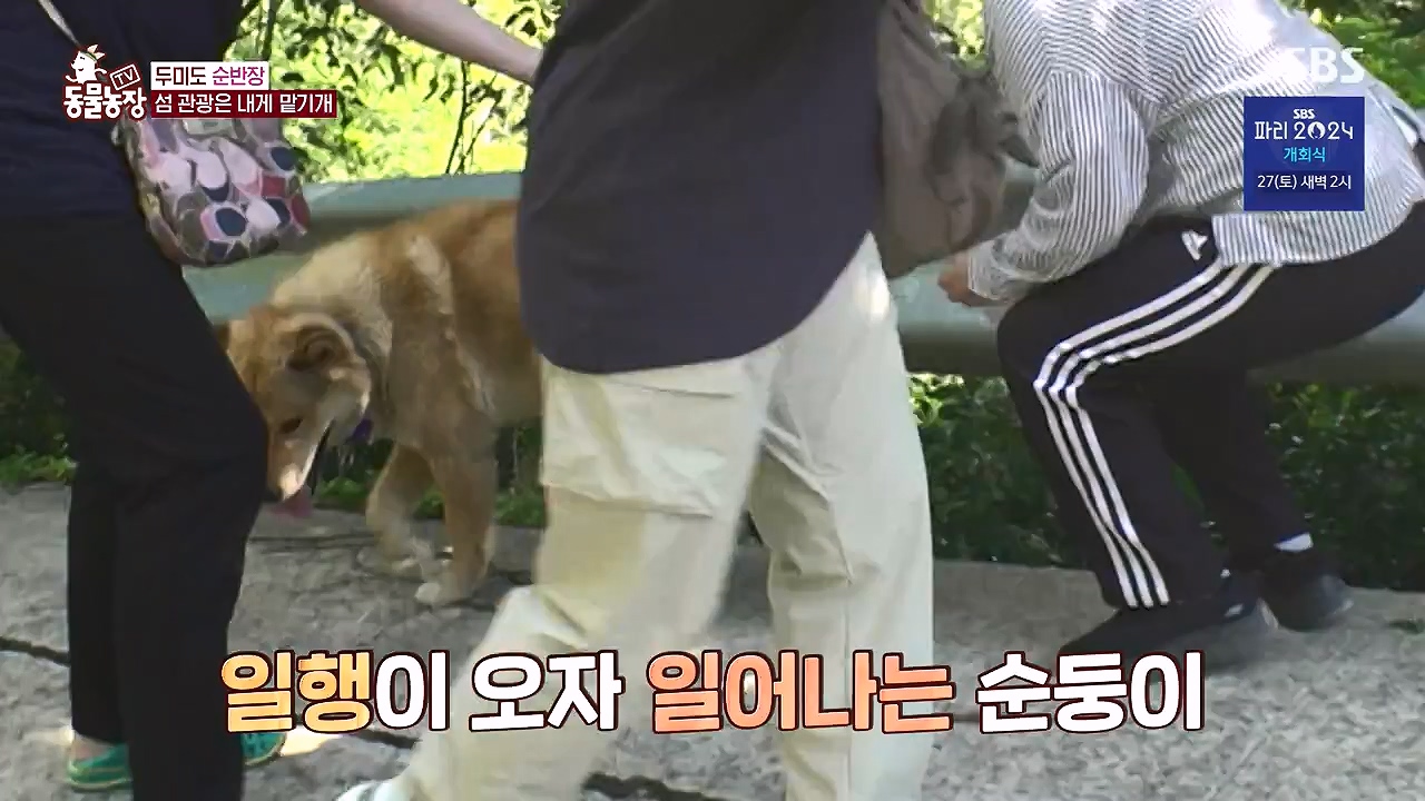 TV 동물농장.E1181.240722p-NEXT.mp4_20240721_165539.044.jpg