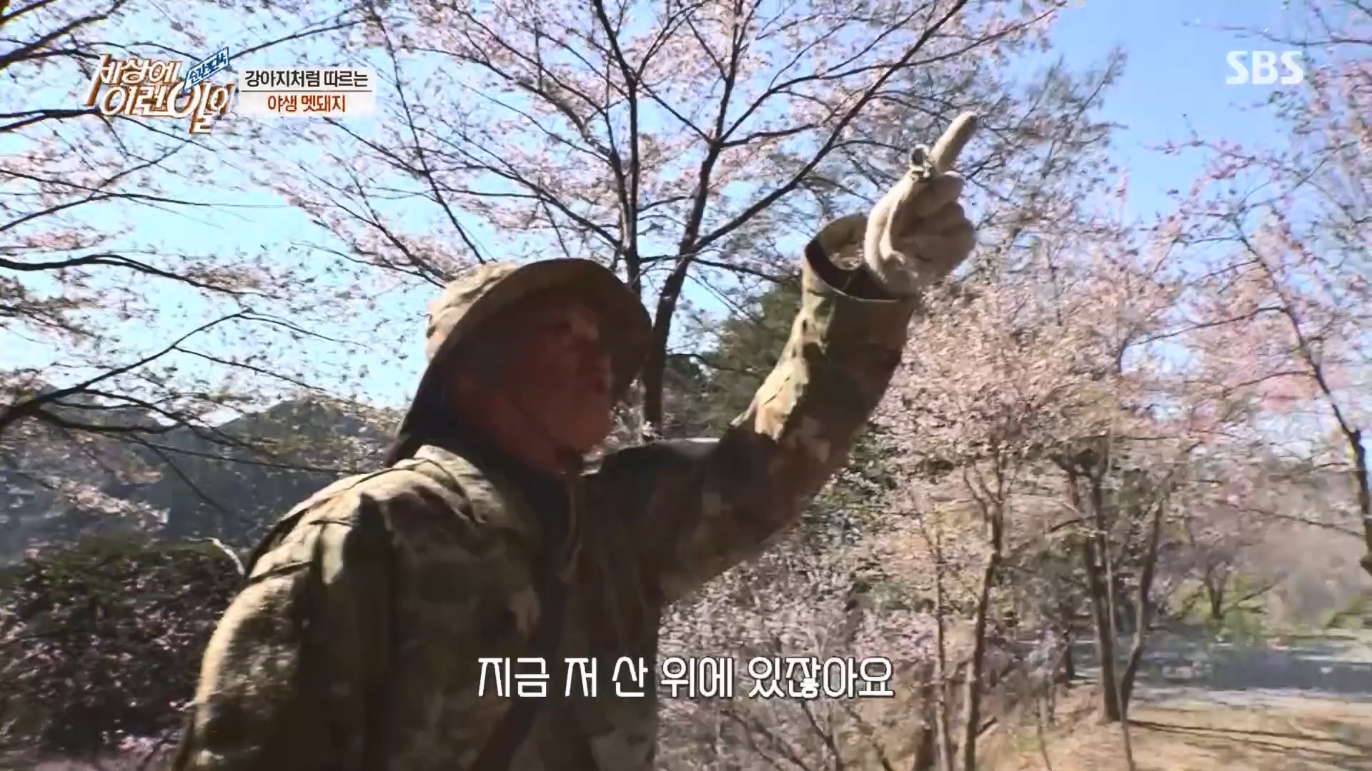 순간포착 세상에 이런일이.E1227.230425p.H264-F1RST.mp4_20230426_194342.443.jpg