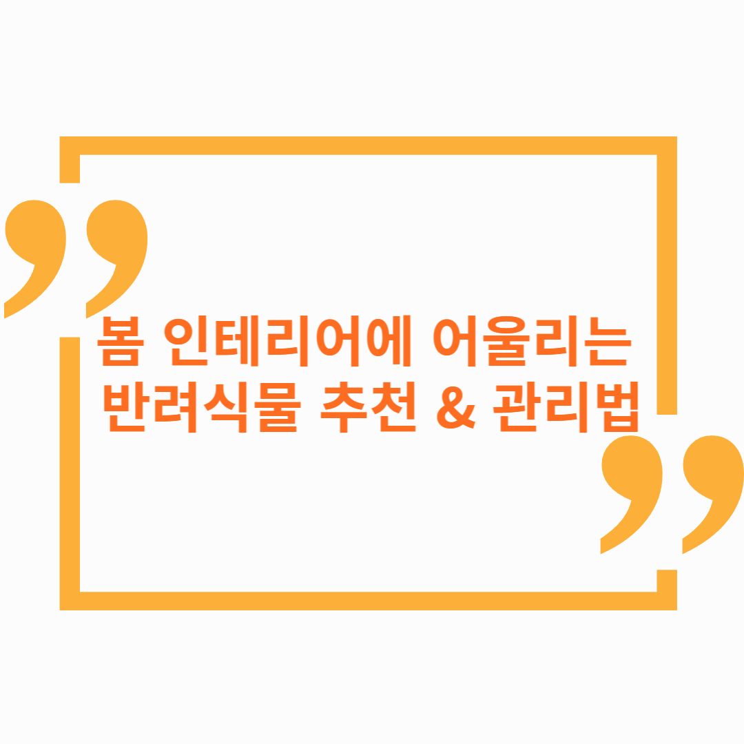 봄 인테리어에 어울리는 반려식물 추천 &amp; 관리법