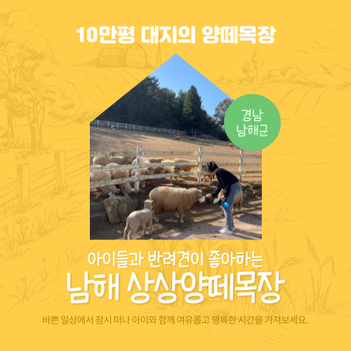  남해 여행 상상양떼목장, 편백숲 방문기 남해 애견동반 여행지