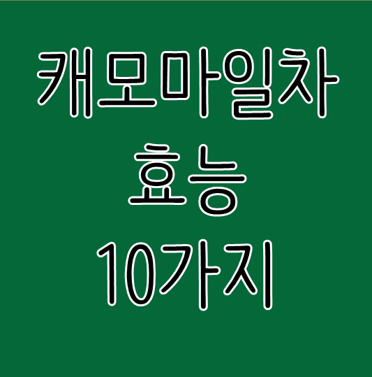  캐모마일차 효능