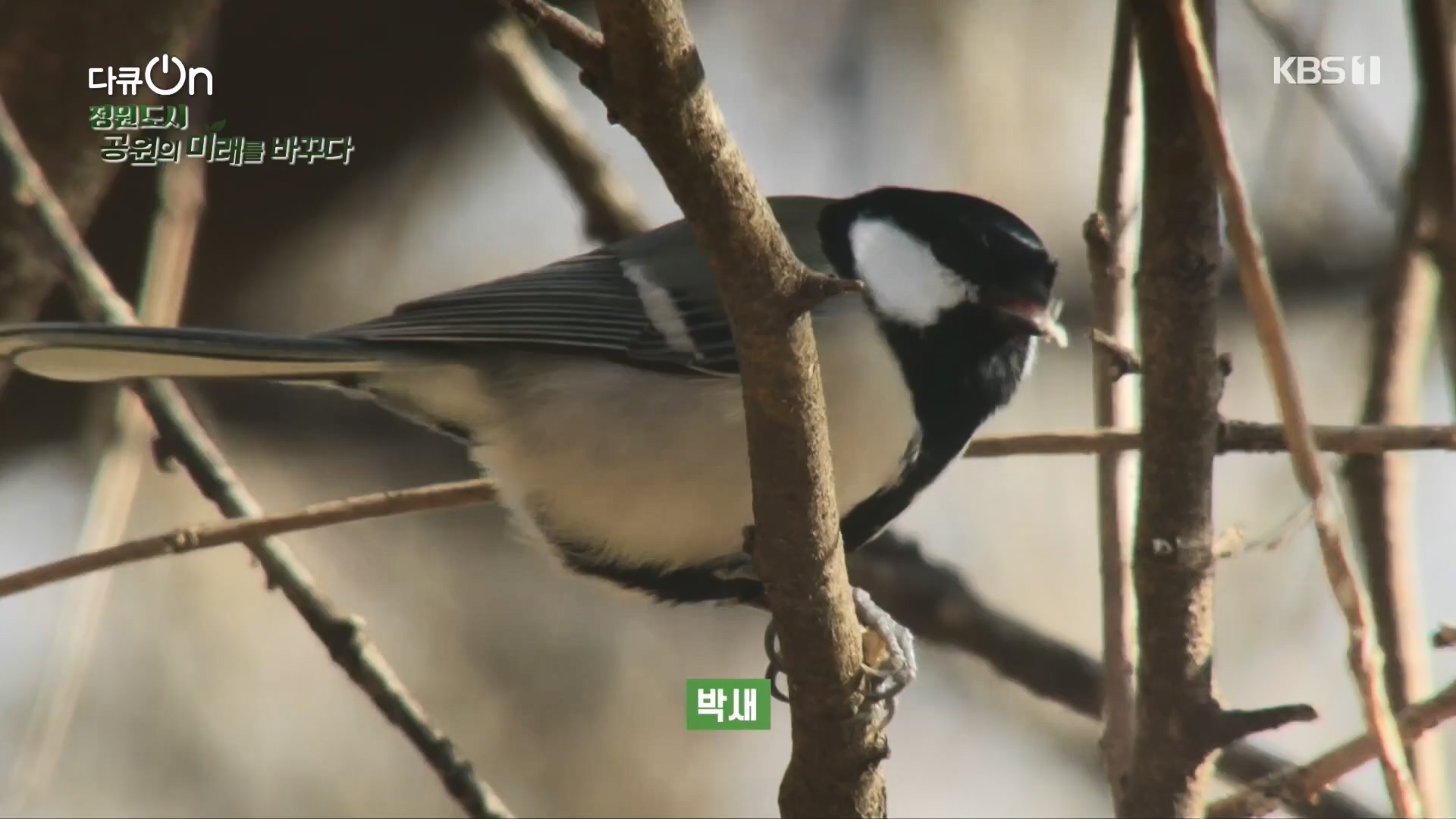 다큐 On.E230.231209p.H264-F1RST.mp4_20231211_200303.116.jpg