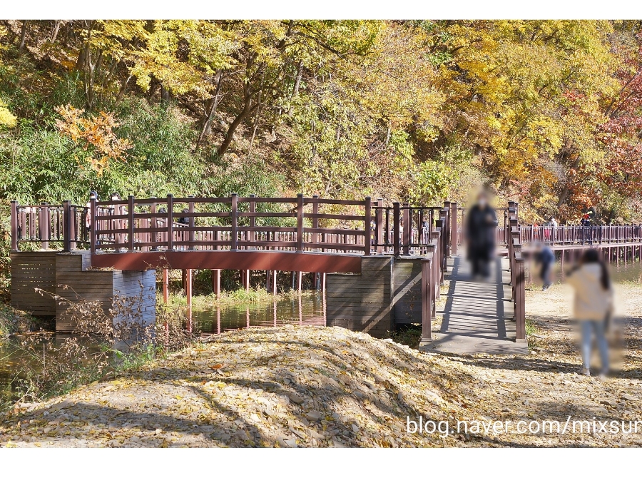 단풍구경 가볼만한 곳 괴산 가볼만한곳 8