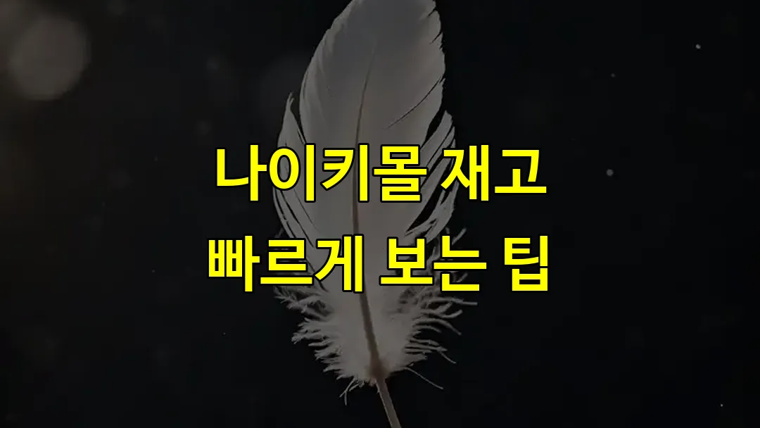 나이키몰 재고 빠르게 보는 팁