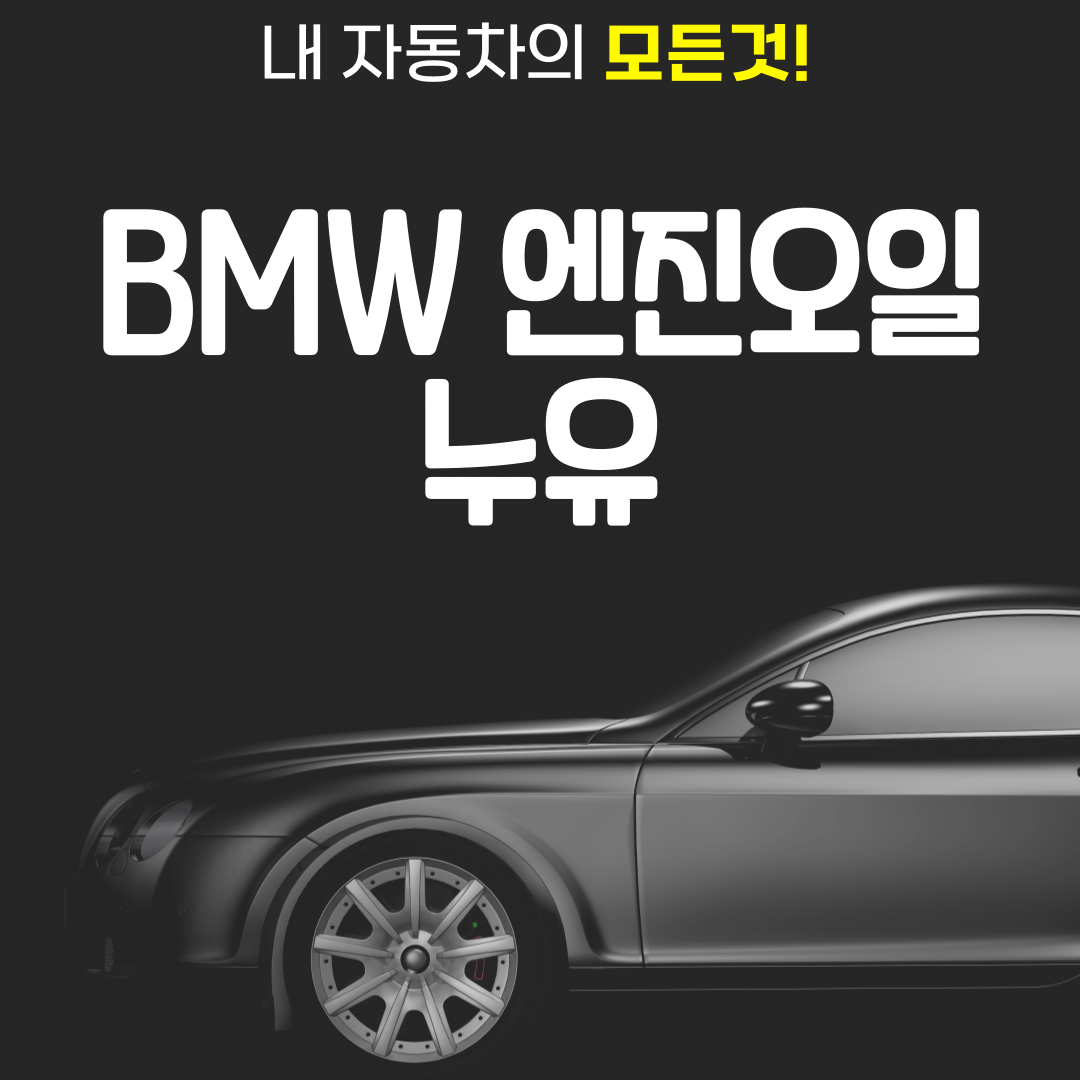 BMW 엔진오일 누유