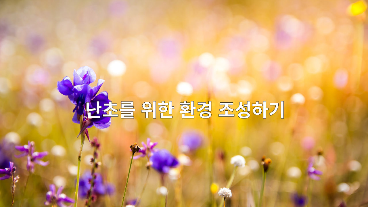  난초 키우는 법
