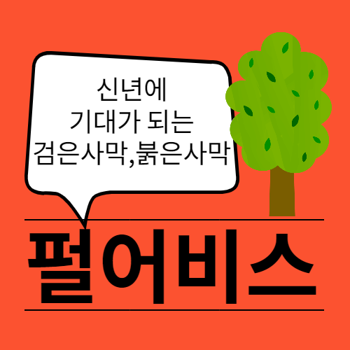  호랑이 신년부터 기대가 되는 메타버스 펄어비스