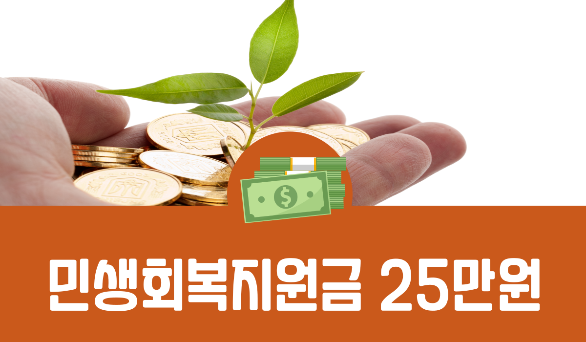 민생회복지원금 25만원