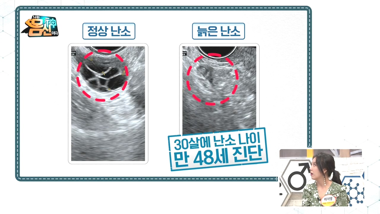  교양 프로 20년10월27일 화요일 #나는몸신이다 #서민갑부 #휴먼다큐사노라면 #역사저널그날 #내사랑투유 #부부의발견배우자 재방송 다시보기