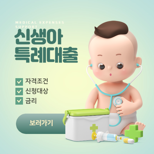  신생아 특례대출 자격조건 및 신청대상 조회하기 ( 2024년 정부 출산 지원 ) 요약.