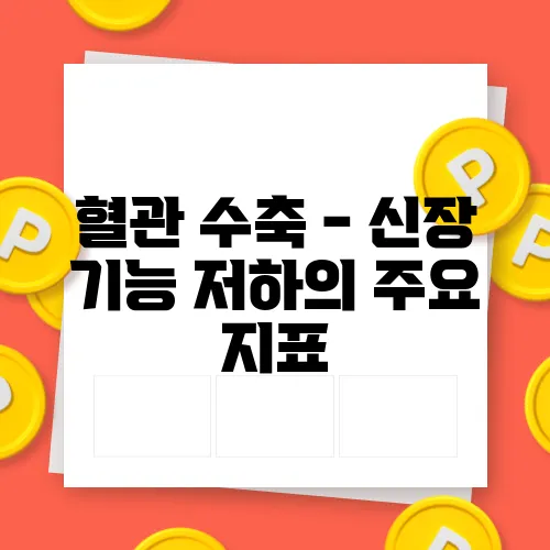 혈관 수축 - 신장 기능 저하의 주요 지표