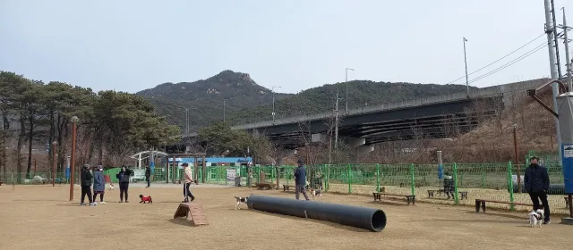 안양 강아지 놀이터