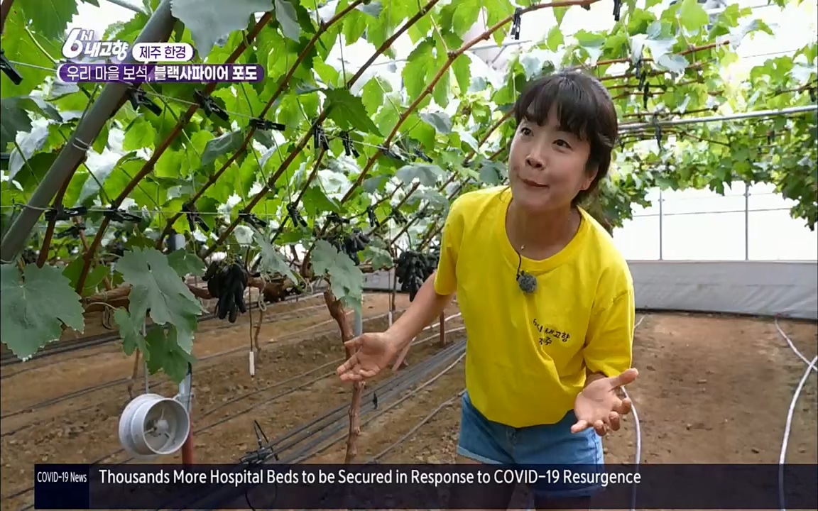 6시 내고향.E7602.220824p.H264-F1RST.mp4_20220825_171305.866.jpg