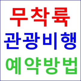 무착륙 국제관광비행 항공사별 예약방법