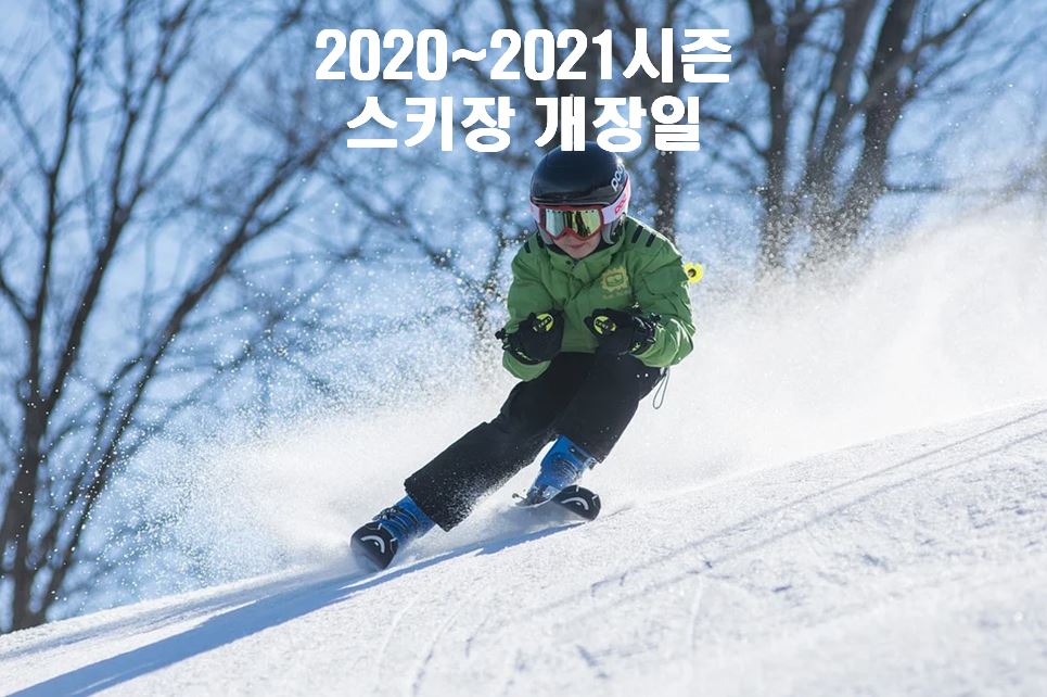  2020~2021 시즌 스키장 개장일을 소개합니다.  (알펜시아 스키장 / 비발디 파크 스키장 / 하이원 스키장 / 오투 리조트 스키장)