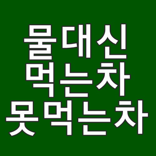  물대신 마시는 차 vs 물 대신 마시면 안되는 차  총정리