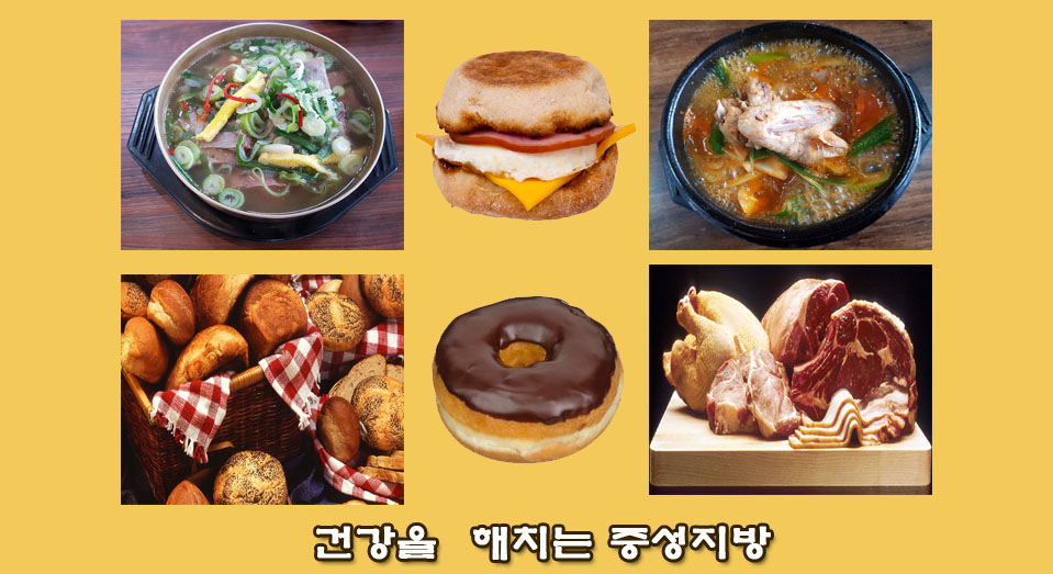  중성지방이란. 중성지방 수치와 중성지방 낮추는 방법