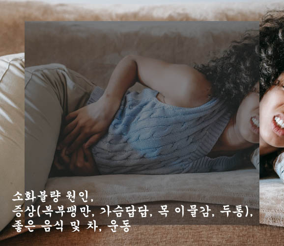  소화불량 원인, 증상(복부팽만, 가슴답답, 목 이물감, 두통), 좋은 음식 및 차, 운동-알아두면 좋아요