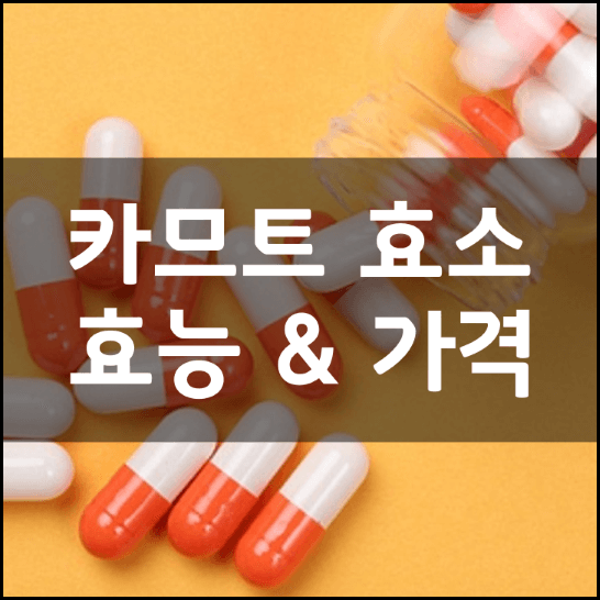 카므트효소-성분-효능-2가지-복용법-부작용-가격-추천-정리
