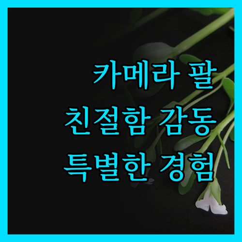 카메라노 팔라초 루키오니 부티크 호텔