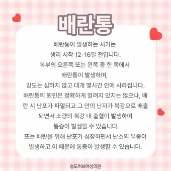 배란통 증상 및 시기 원인_19