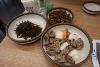활오징어회 산오징어물회