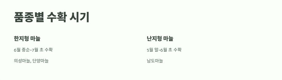 마늘 수확시기 꿀팁