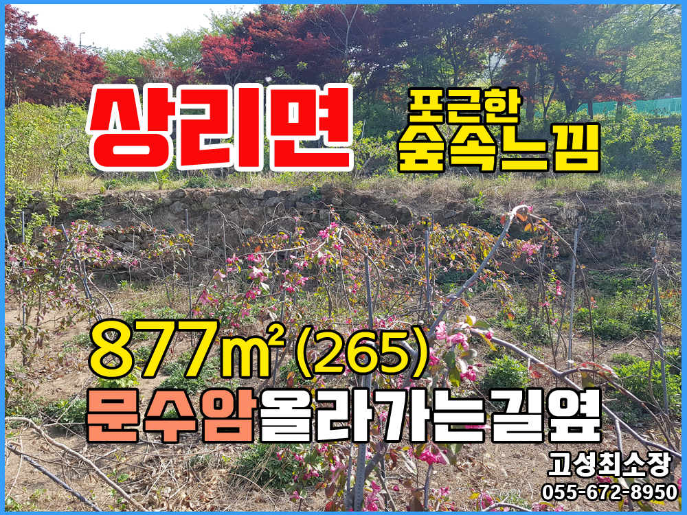  (상리면) 경남고성부동산 문수암 올가는길 옆 토지매매