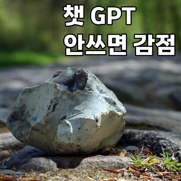 메시지 스터디 - 채팅 GPT를 사용하지 않으면 포인트가 차감됩니다.