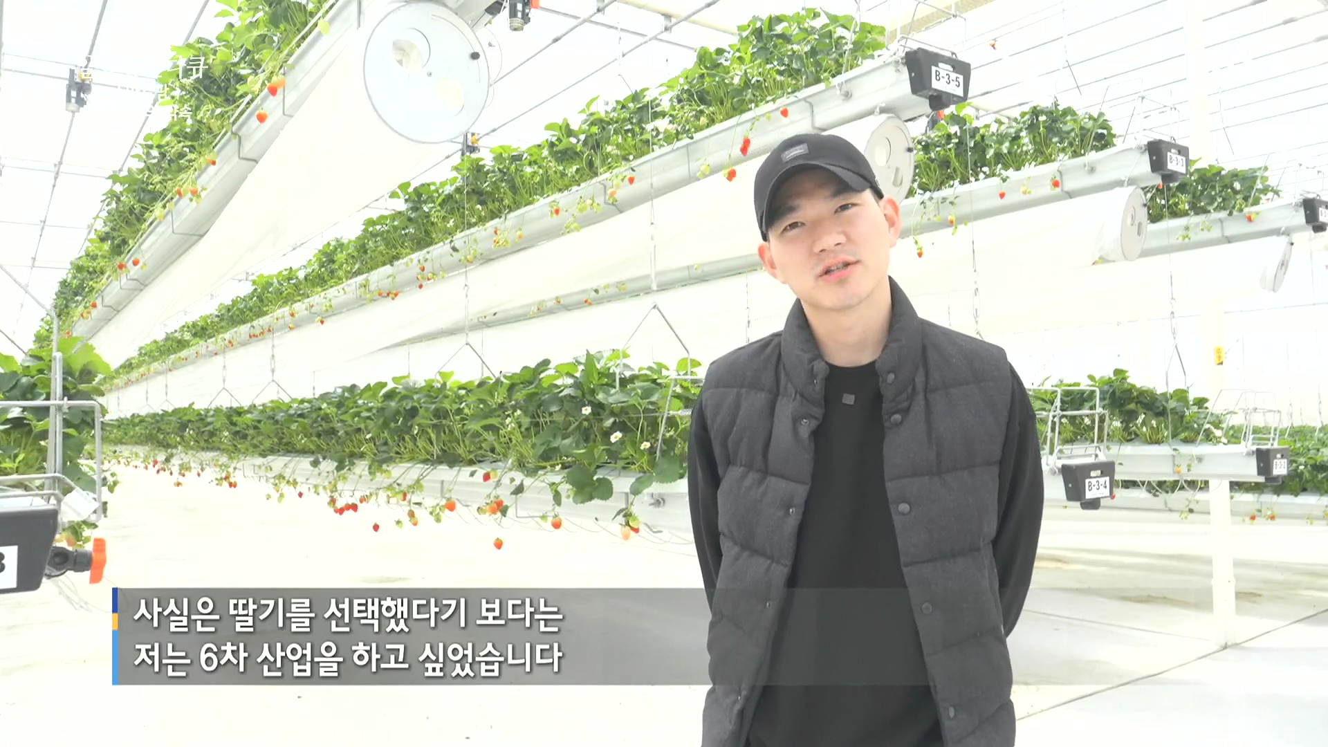 일요 특선 다큐멘터리.E348.240804p.H264-F1RST.mp4_20240805_195513.002.jpg