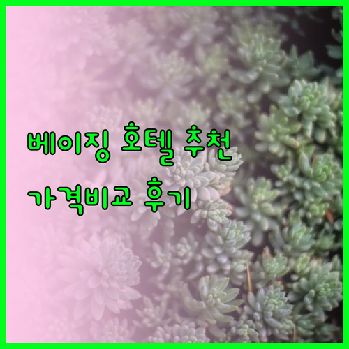 베이징 호텔 추천 베스트 5 가격 비