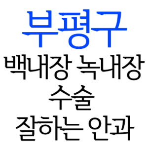 인천 부평구 백내장 녹내장 수술잘하는곳 안과 병원 추천 5곳 후기 수술 가격 비용 비교 치료 증상 좋은음식 수술 후 주의사항 알아보기