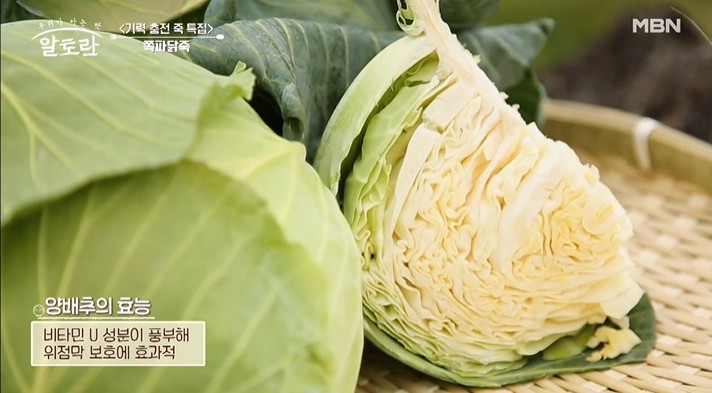 양배추