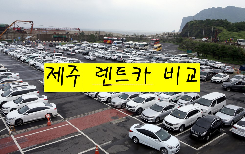  제주도 여행, 렌트카 필수 정보 총정리 - 가격 비교부터 보험 선택까지