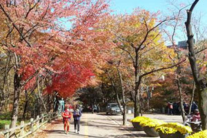 관악산-산책로