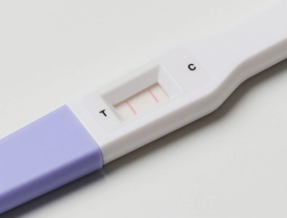 이체크 테스트기 사용 방법