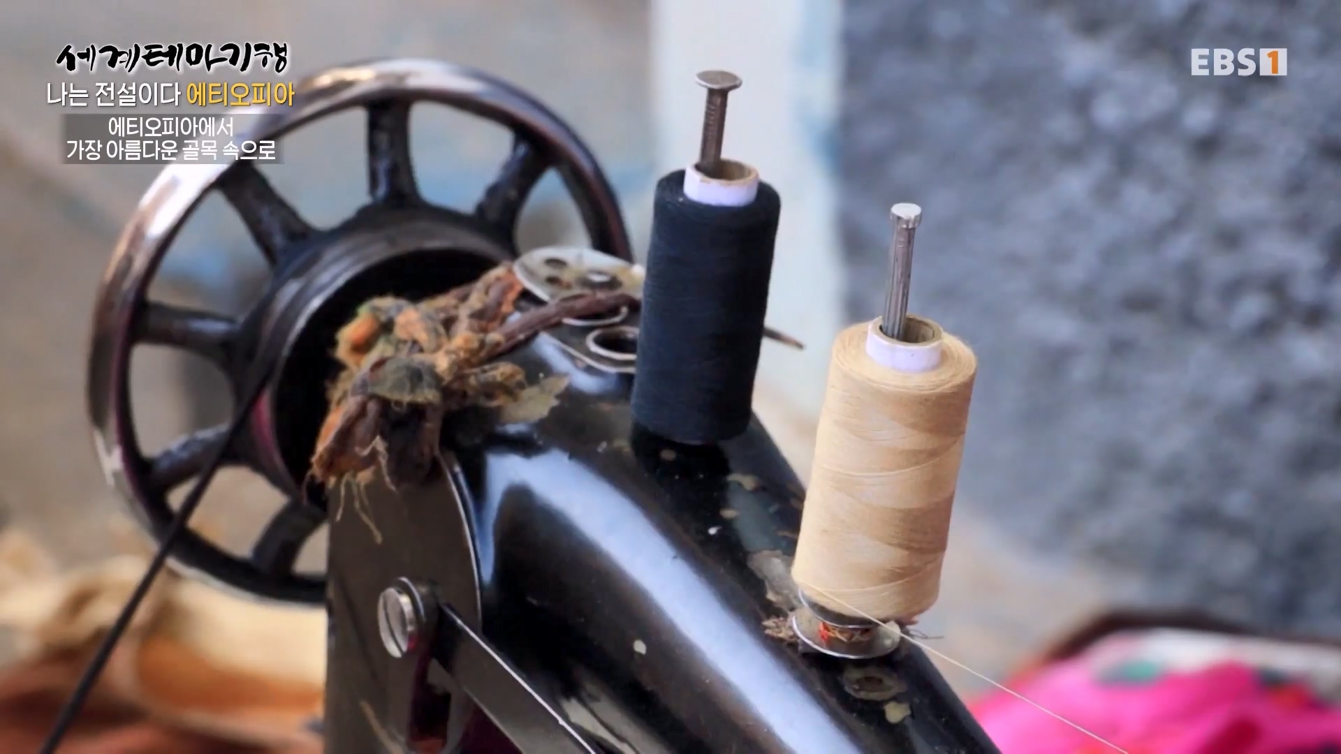 세계테마기행 240116 나는 전설이다 에티오피아 -골목의 전설, 하라르0p.mp4_20240713_174141.177.jpg