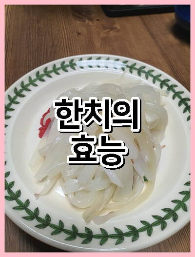  한치효능 다섯가지