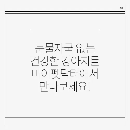 눈물자국 없는 건강한 강아지를 마이펫닥터에서 만나보세요!