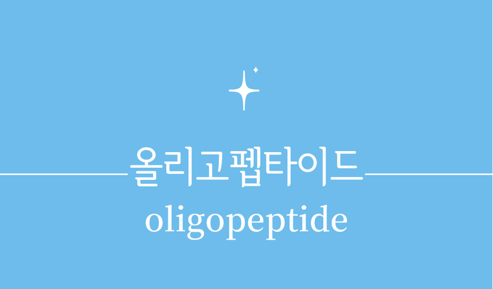 '올리고펩타이드(oligopeptide)'