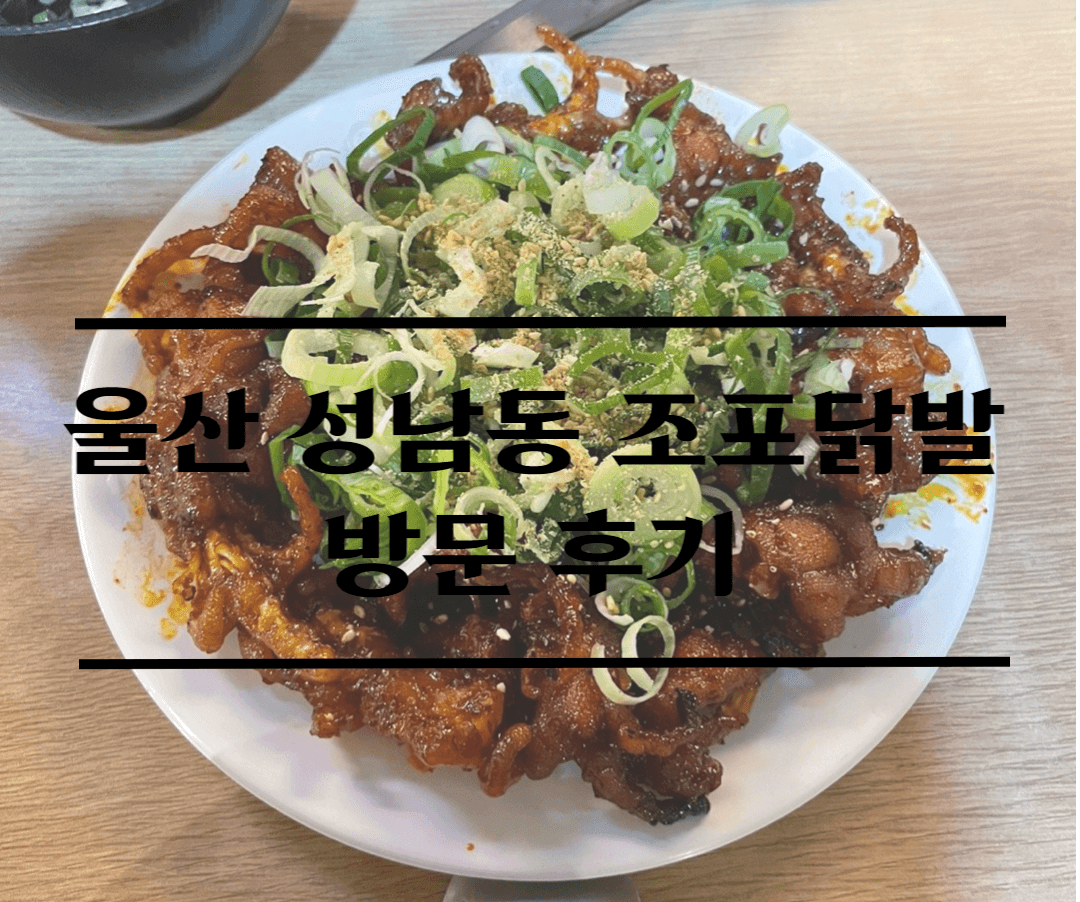  울산 닭발 맛집 성남동 조포닭발 방문 후기